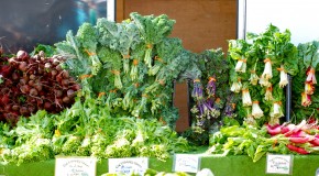 Your Farmers Market Offers a Bumper Crop of Kid-Friendly Food
