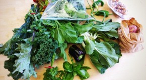 Harvest Time: Local Food Resources