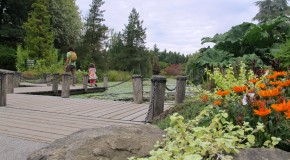 An Oasis of Calm in the City: VanDusen Botanical Garden