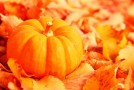 Halloween for Kids in Downtown Vancouver