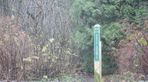 A Winter Staycation near UBC