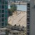 Love Where You Live: Raising a Family in Downtown Vancouver