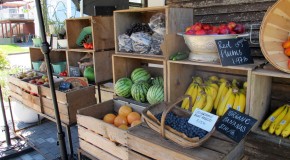 Style and Substance at Marché St. George