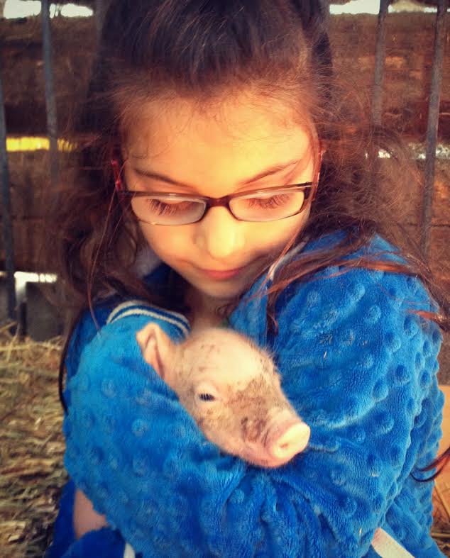 farm camp piglet