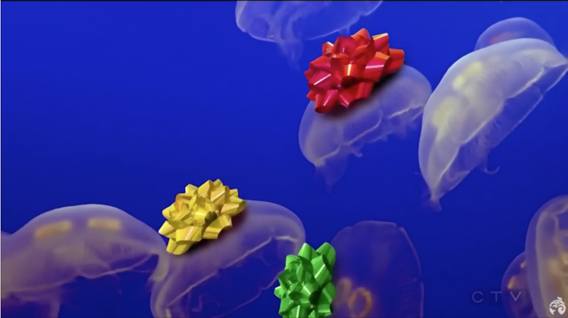 In the News What's Open on Christmas Day Vancouver Mom