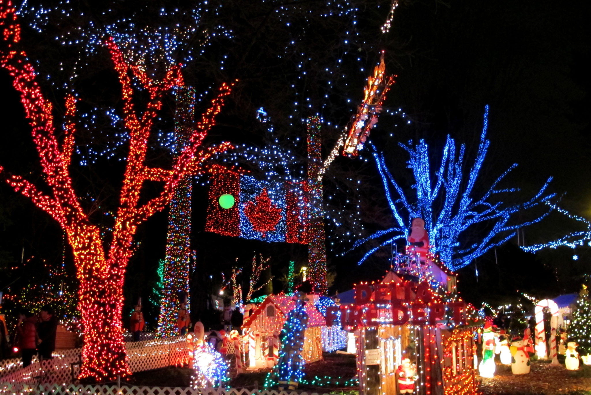 stanley park christmas light