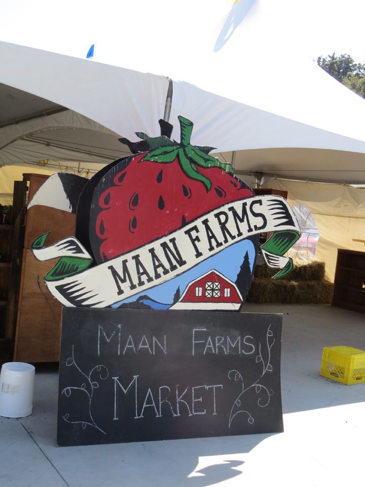 maan farms
