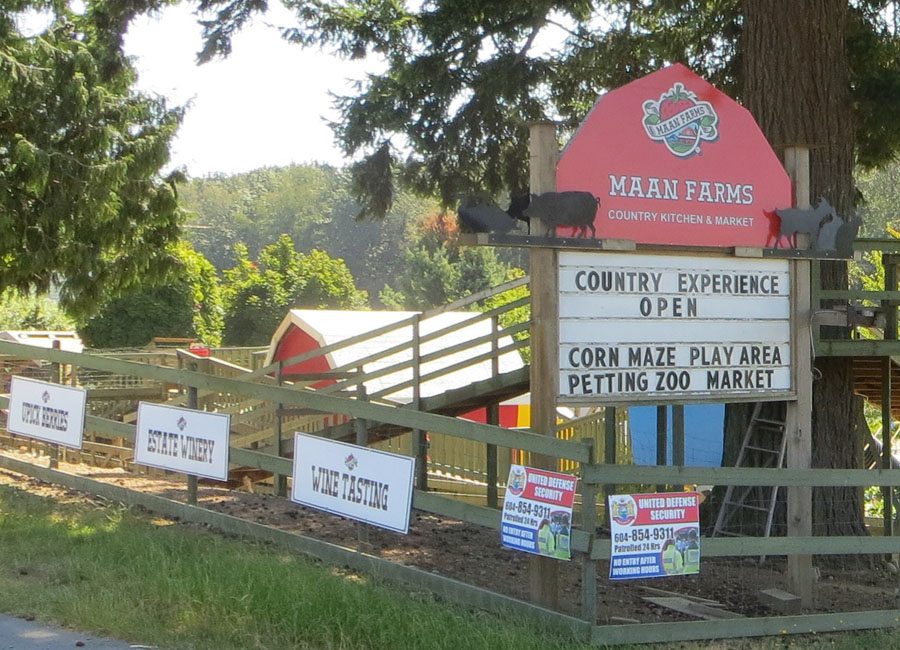 Maan Farms