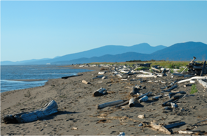 iona beach