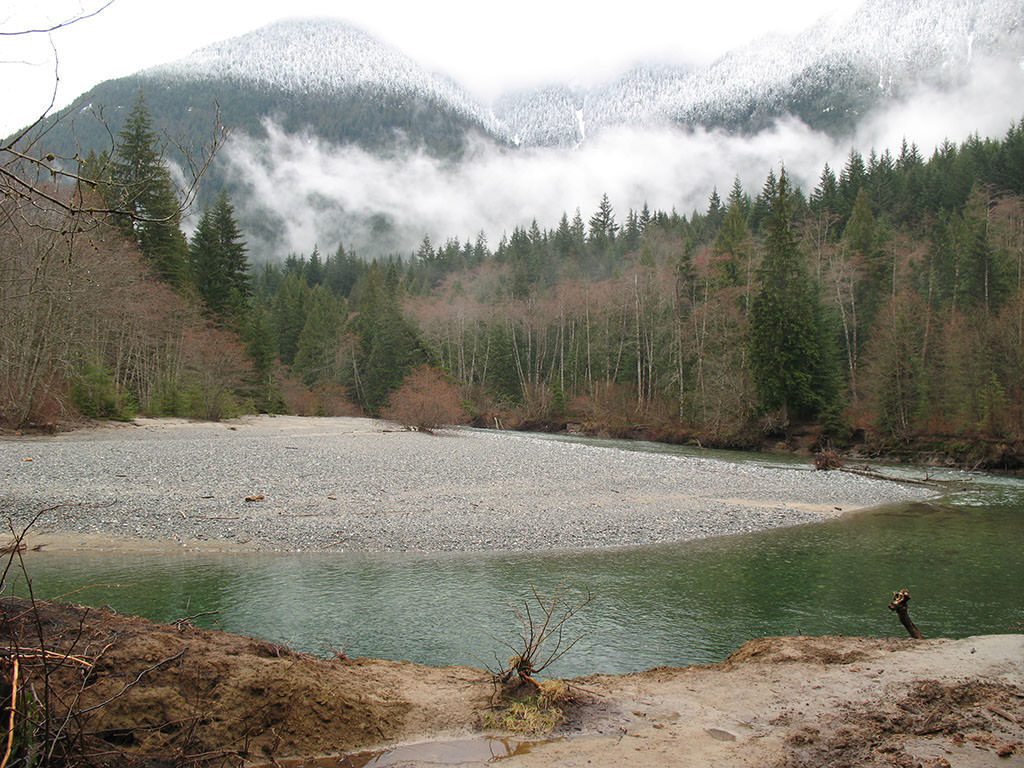A overcast picture of foggy mountains in the background with a low tide greenish lake in the foreground.