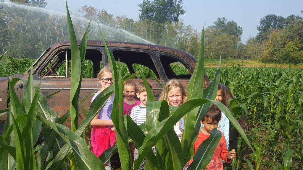 A group of kids in a corn maze