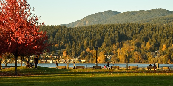 Fall foliage port moody