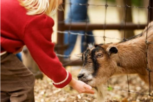 Family Day Ideas - Vancouver Mom
