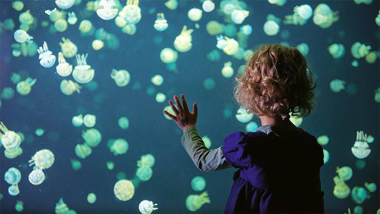 The Vancouver Aquarium and Science World are great experience gifts that the whole family will love.