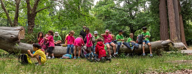 Eco Camp kids in the woods