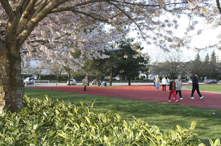 Minoru Park for Spring flower gardens in metro Vancouver.