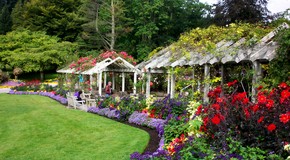 Stanley Park one of the best flower gardens in Metro Vancouver.