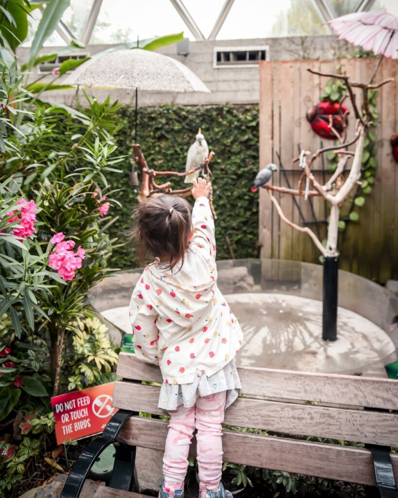 Discover a tropical paradise with hundreds of exotic birds and plants at Bloedel Conservatory.