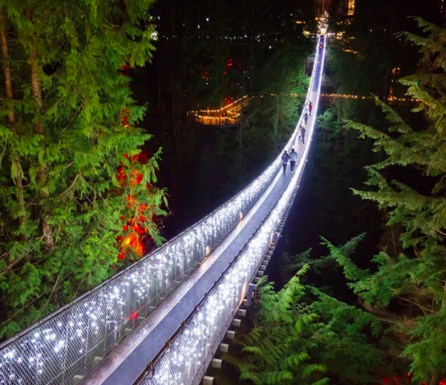 Experience the magic of the festive light displays on the Canyon at Capilano at night.