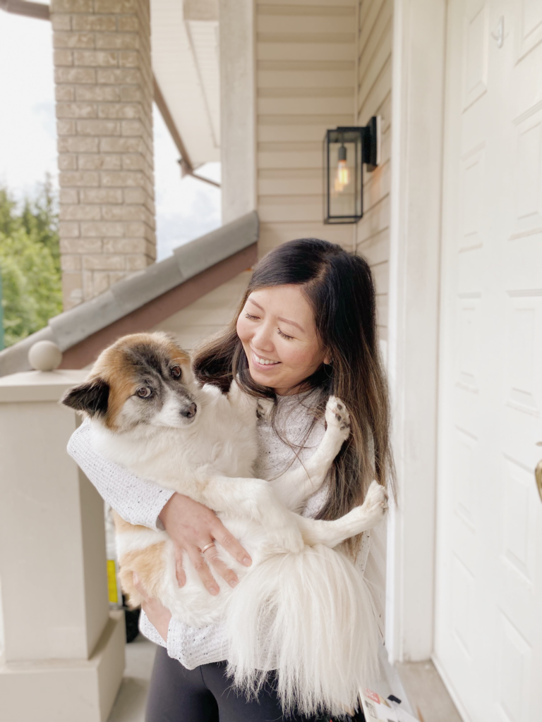 Finding your dog a home.