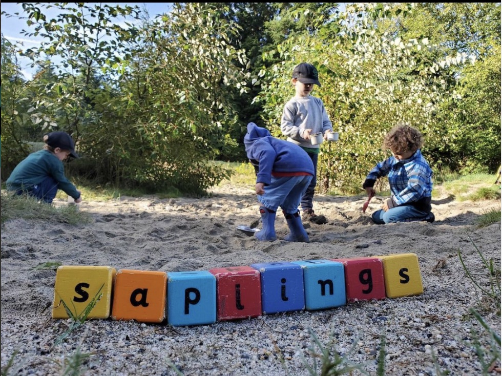 Children learning outdoors at Saplings.