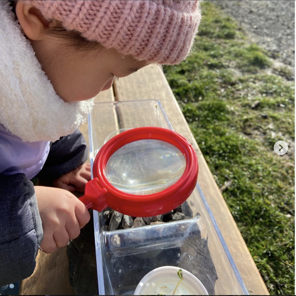 Terra Nova Nature School.