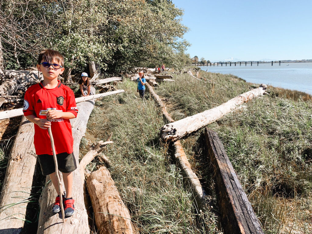Exploring beaches at Nature School.