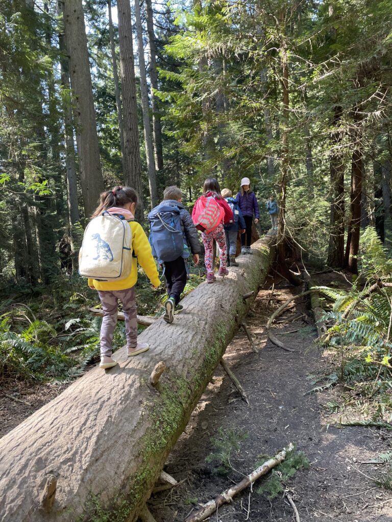 Hiking adventure with Vancouver Outdoor School.