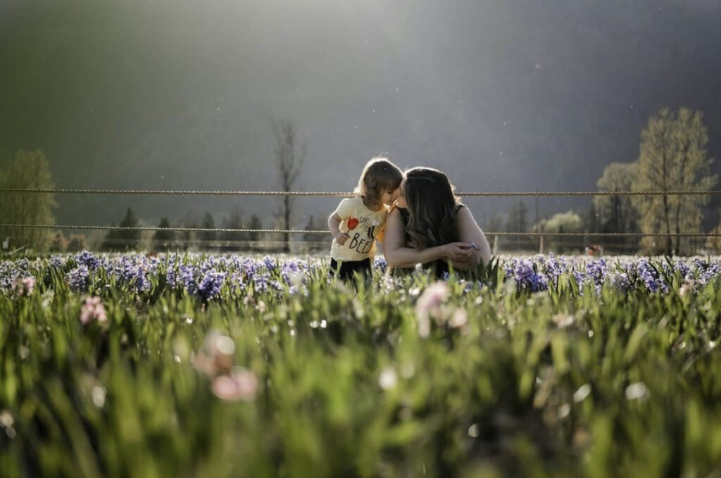 Chilliwack Tulip Festival.