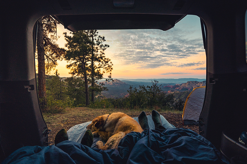 A beautiful outdoor scene is taken from inside a van. The van door has two sets of feet on it with a sleeping puppy at amongst them.