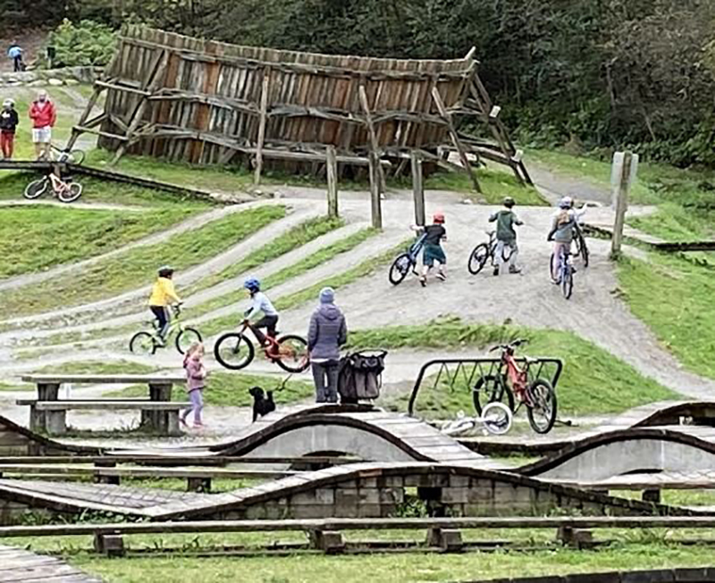 A photo of a large bike track with lots of wooden structors and various kids on bikes. One parent stands in the middle of the structures watching with a small black dog.