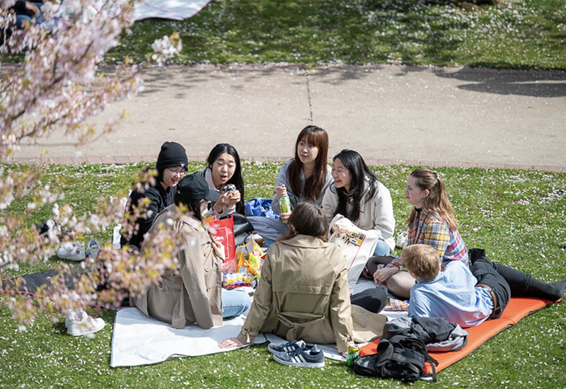A group of people sit on a picnic blanket on a sunny day with a cherry blossom tree framing the left corner.