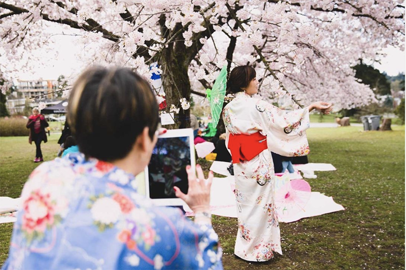 A woman in a blue kimono takes a picture of a another women in a pink kimono holding a green umbrella under a cherry blossom tree.