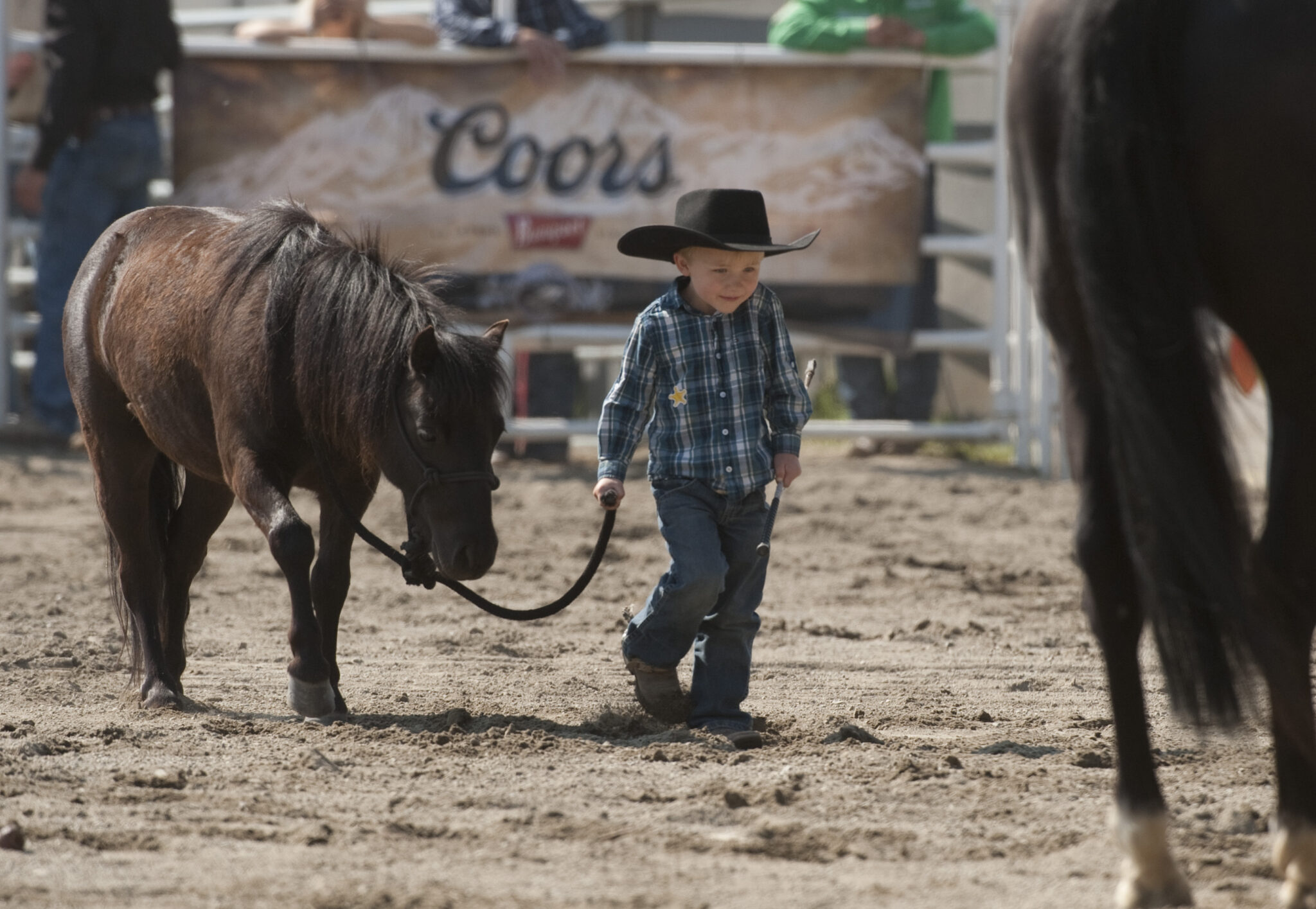 Celebrating 75 Years: The Cloverdale Rodeo Returns