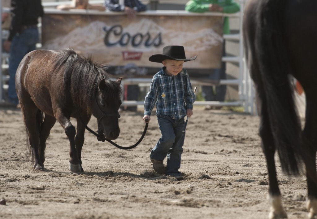 Little cowboy walking a pony at the Cloverdale Rodeo and Country Fair for Victoria Day Long Weekend