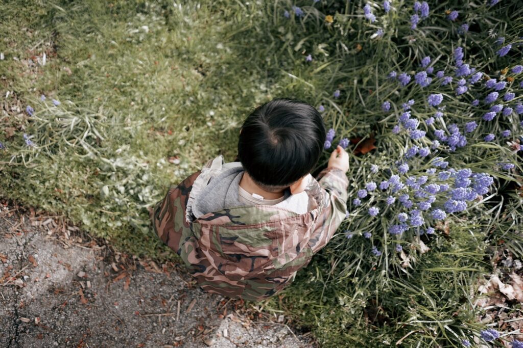Boy in a grass area learning about nature through Terra Early Learning