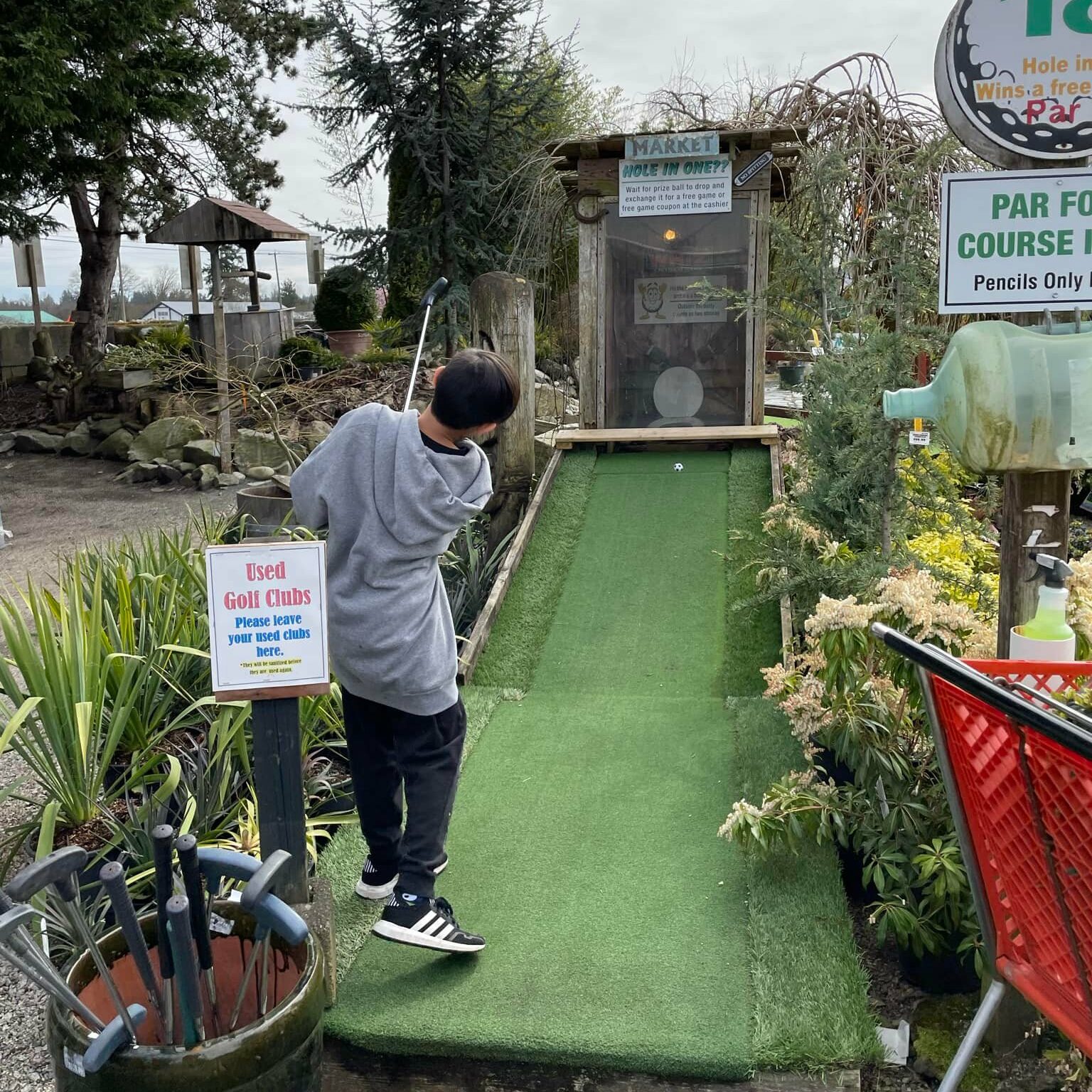 Tween boy putting at the 18th hole for the mini golf course at Art Knapp Plantland