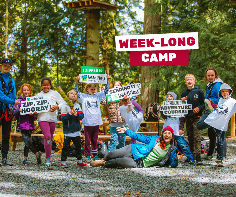 A group of kids showing the summer camp at Wildplay Elements Park