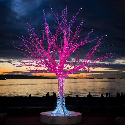 A beautiful lighted up with pink lights for the Lumière Festival in Vancouver