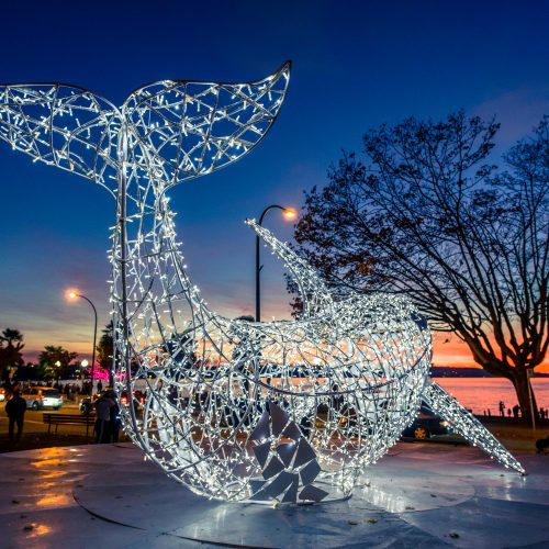 A display of a lighted orca for the Lumière Festival in Vancouver