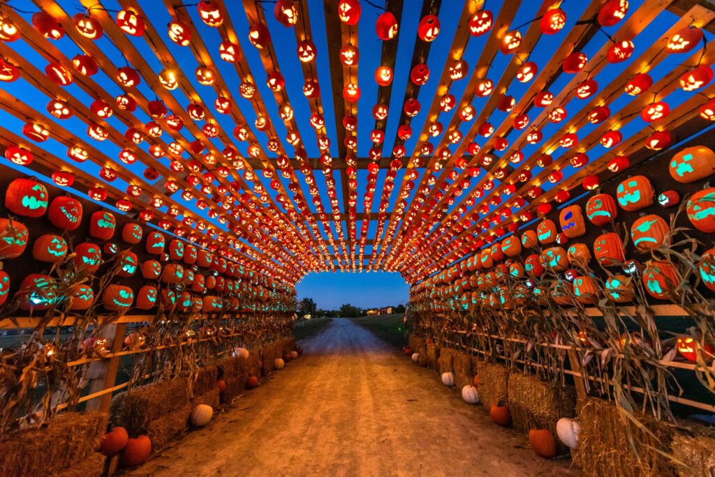 A lighted walkway of pumpkins for a halloween events in Metro Vancouver