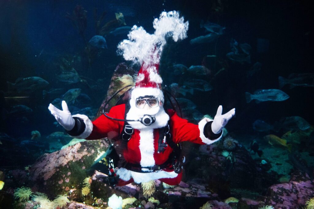 A santa claus in the aquarium for the Holiday Splash Event at Vancouver Aquarium