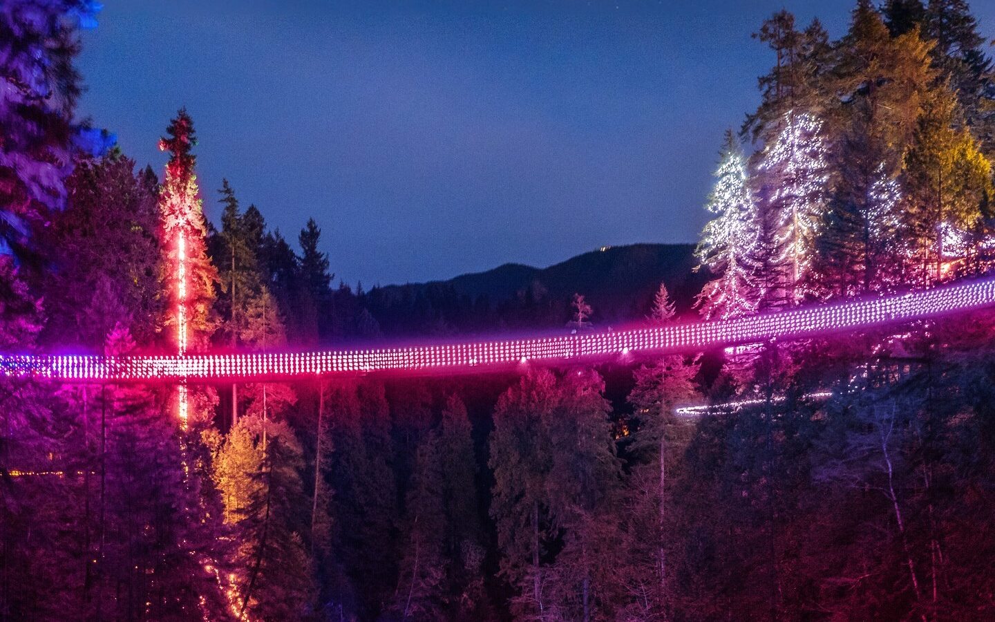 Pink lights at the Capilano Suspension Bridge for date night ideas